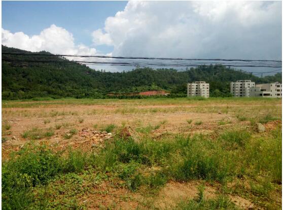 惠州地皮出售118亩